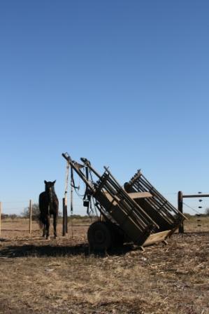 Pferdekarren an der Strae